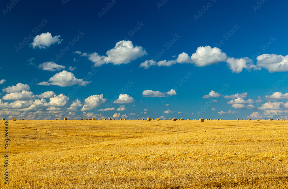 Beautiful sunset over farm field with many hay bales with blue sky and colorful clouds in background Beautiful sunset over farm field with many hay bales with blue sky and colorful clouds in background