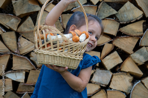 Little girl in a blue dress holds a basket full of mushrooms in her hands. Basket with orange-cap boletus mushrooms.