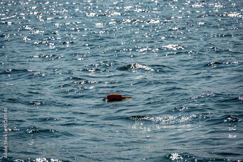 Lobster trap buoy floating on a choppy ocean in the Atlantic Ocean