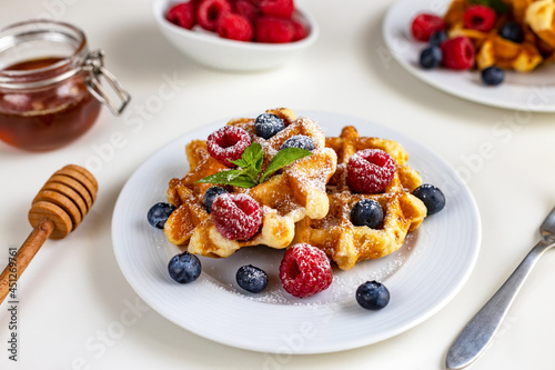 Homemade Belgian waffles with fresh berries, powdered sugar and honey, garnished with a mint leaf. Breakfast for vegetarians.
