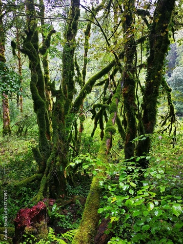 Schweiz Natur