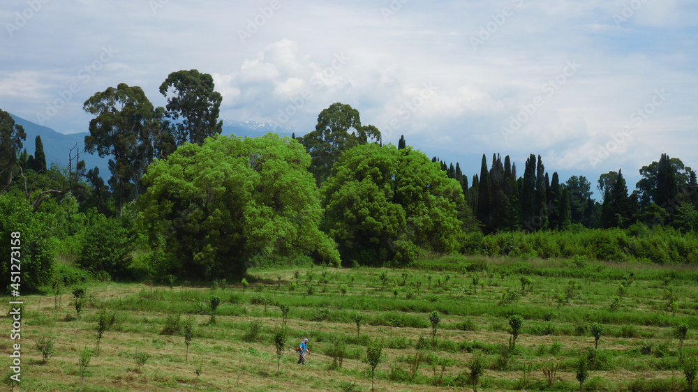 a worker works on a green field a worker works on a green field