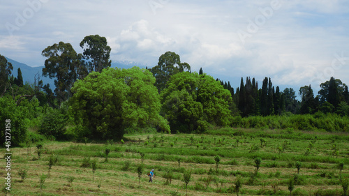  a worker works on a green field       