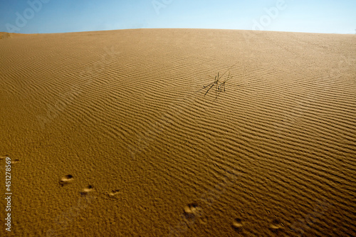 Surface of sandy desert in sliding light