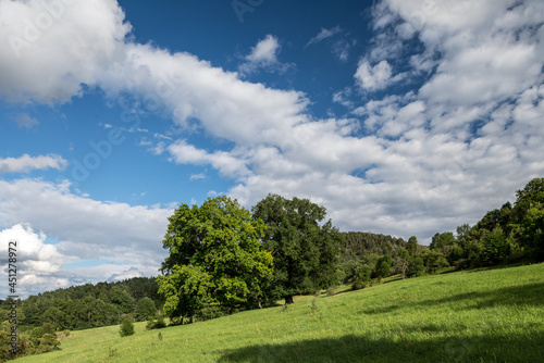 Tal in Thüringer Mittelgebirge mit Häusern, Bäumen uns Weisen , Wolken und blauem Himmel im Sommer