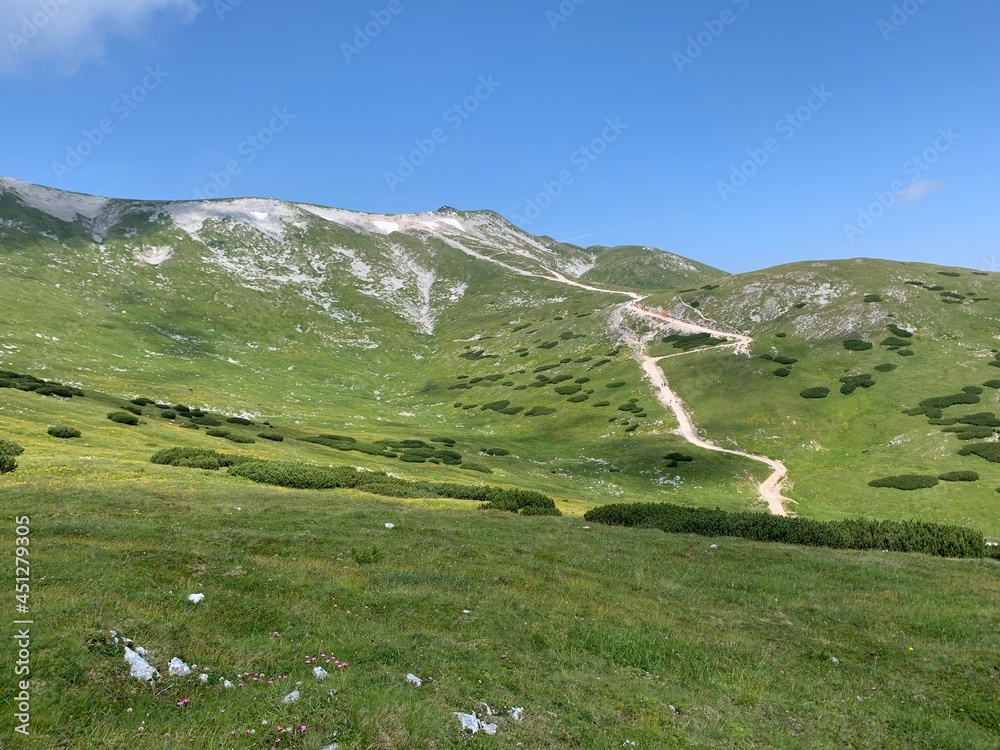 Fototapeta premium landscape in summer