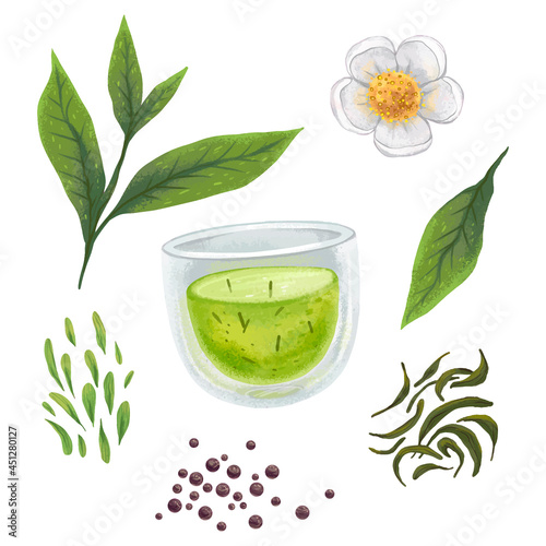 illustration of tea, mug with tea, dried tea, tea leaves, tea flower, a selection of painted clipart