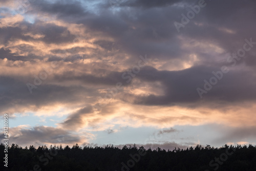 Wolken Über Nadelwald am Abend mit Abendrot und blauem Himmel