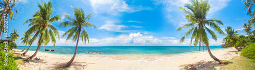 Fototapeta Naklejka Na Ścianę i Meble -  panorama of tropical beach with coconut palm trees