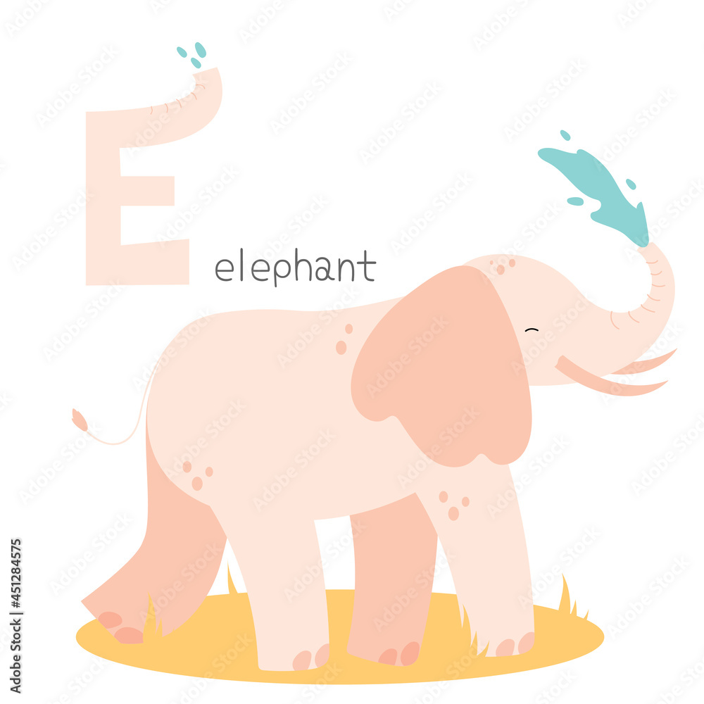 Obraz premium Animals alphabet. E for elephant. Flat vector illustration on white background. Funny cartoon animal. Kids abc education. Learning English vocabulary. Zoo alphabet flash card