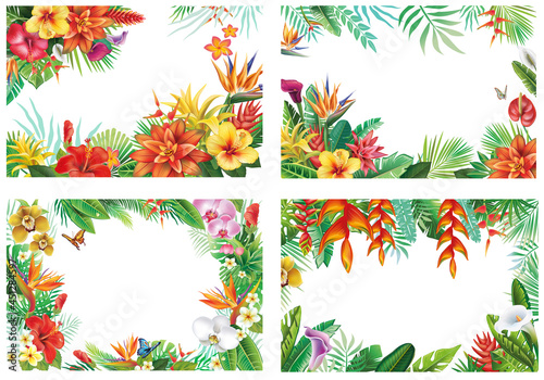 Set with Frames and with tropical plants and flowers