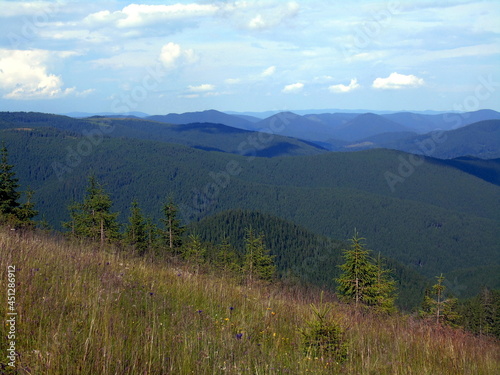 Incredible beauty in the mountains in summer