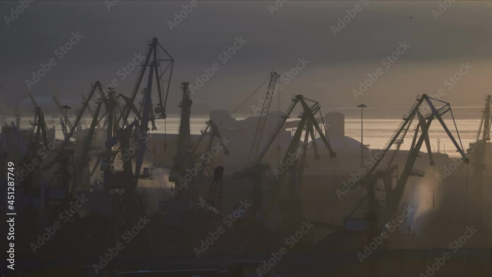 Port cranes in the haze. Many port cranes move. Dust and steam around Port cranes in the haze. Many port cranes move. Dust and steam around