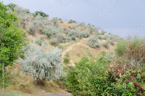 A path in the mountains on the Black Sea coast