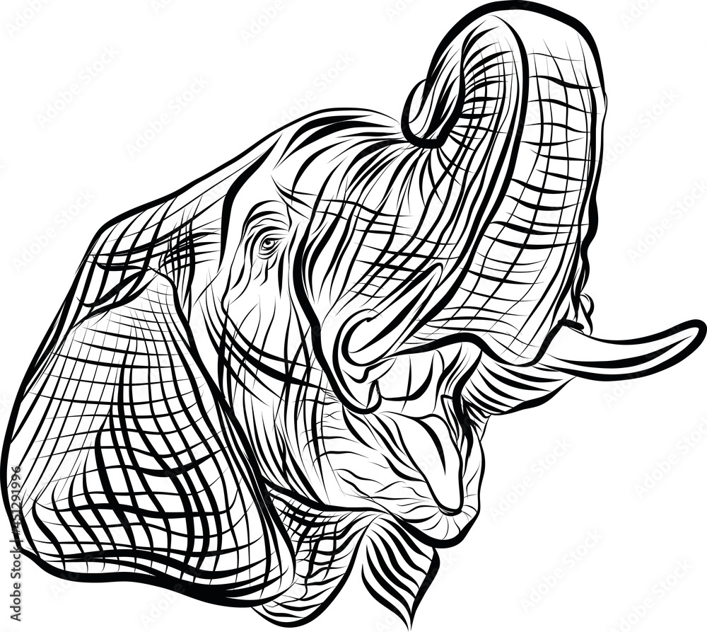 Black and white elephant head hand drawn sketch Black and white elephant head hand drawn sketch
