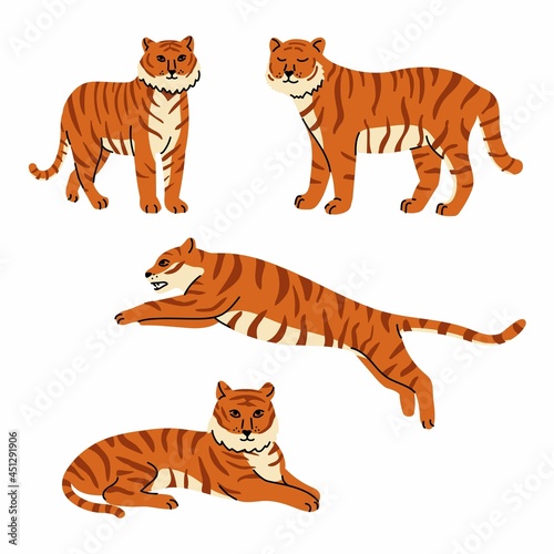 Fototapeta Naklejka Na Ścianę i Meble -  Set of adult big tigers in wildlife and fauna theme. Cartoon animal design. Tiger year. Flat vector illustration isolated on white background