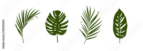 Set of tropical leaves silhouettes isolated on white background.