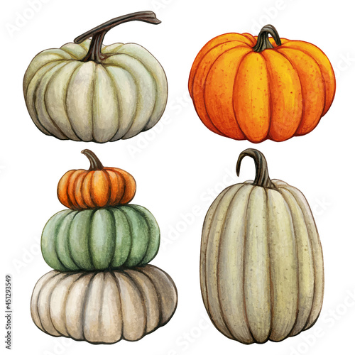 Watercolor hand drawn fall pumpkin composition