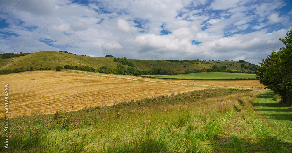 a field of golden wheat stems after harvesting on the South facing edge of the Marlborough Downs, adjacent to Pewsey Vale, Wiltshire AONB 