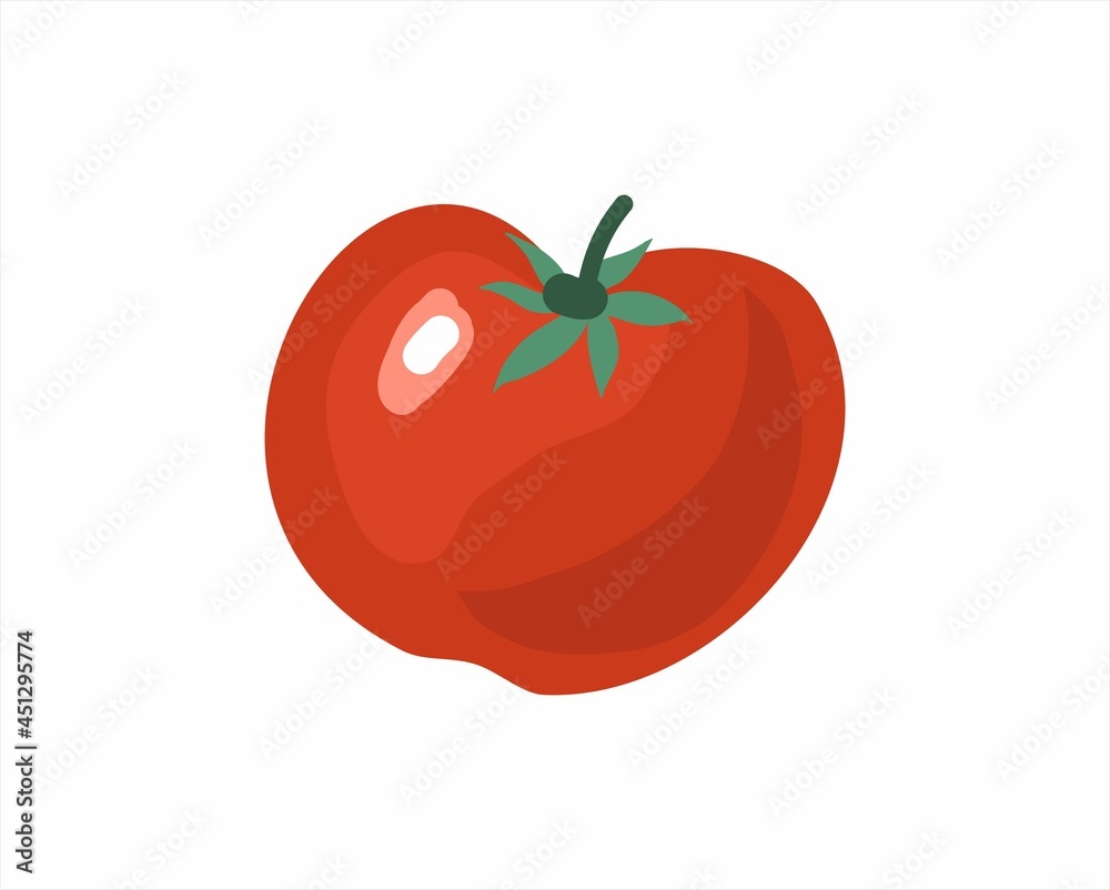 Tomato. Vector illustration. The theme of gardening and agriculture. Tomato. Vector illustration. The theme of gardening and agriculture.