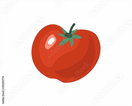 Tomato. Vector illustration. The theme of gardening and agriculture.