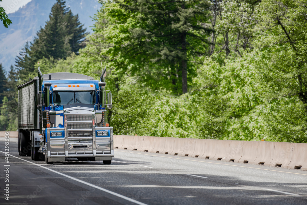 Powerful bonnet blue big rig American semi truck with aluminum grille guard bumper transporting cargo in covered bulk semi trailer climbing on the mountain road with forest