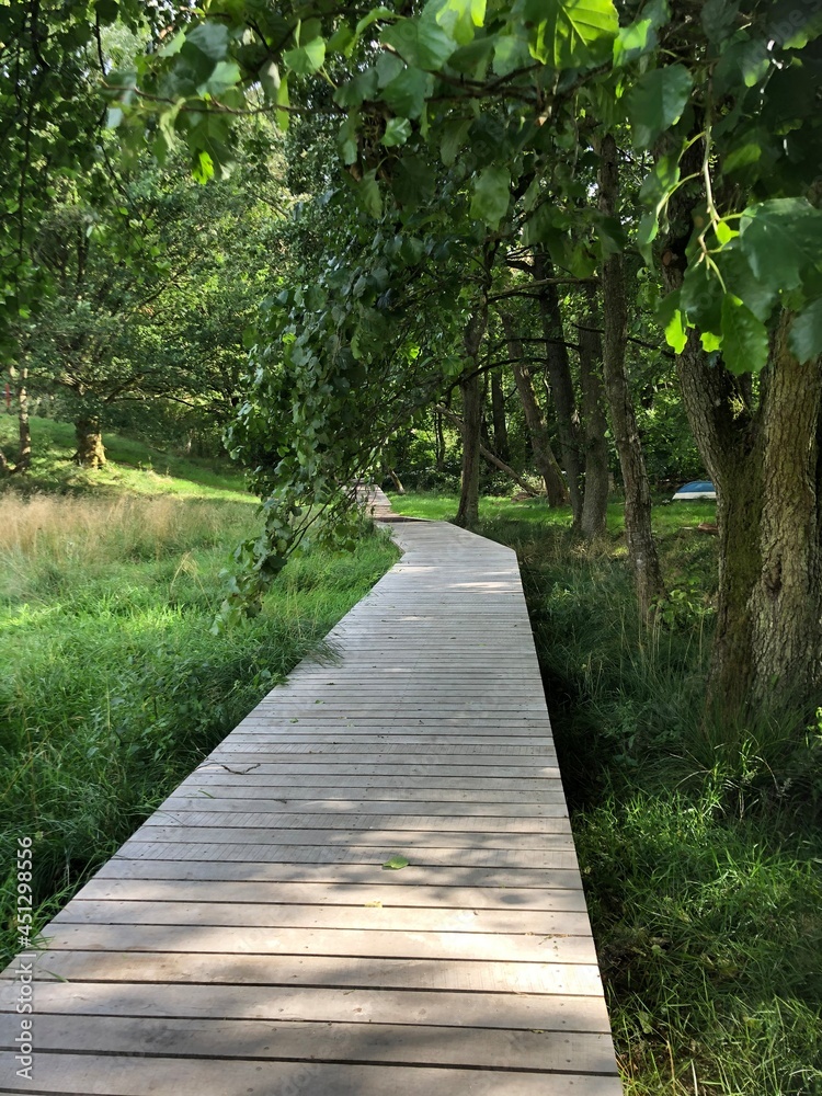 Wooden path in the forest, new boardwalk near Hald Lake, Hald Sø, Viborg, Denmark Wooden path in the forest, new boardwalk near Hald Lake, Hald Sø, Viborg, Denmark