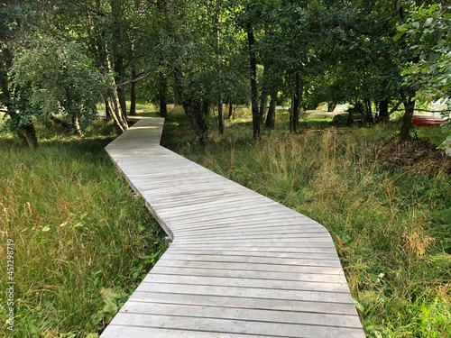 Wooden path in the forest, Boardwalk near Hald Sø, Viborg, Denmark