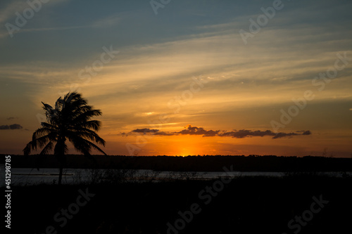 Beautiful sunset in the tropics with silhouettes of palm trees. Soft warm colored clouds.