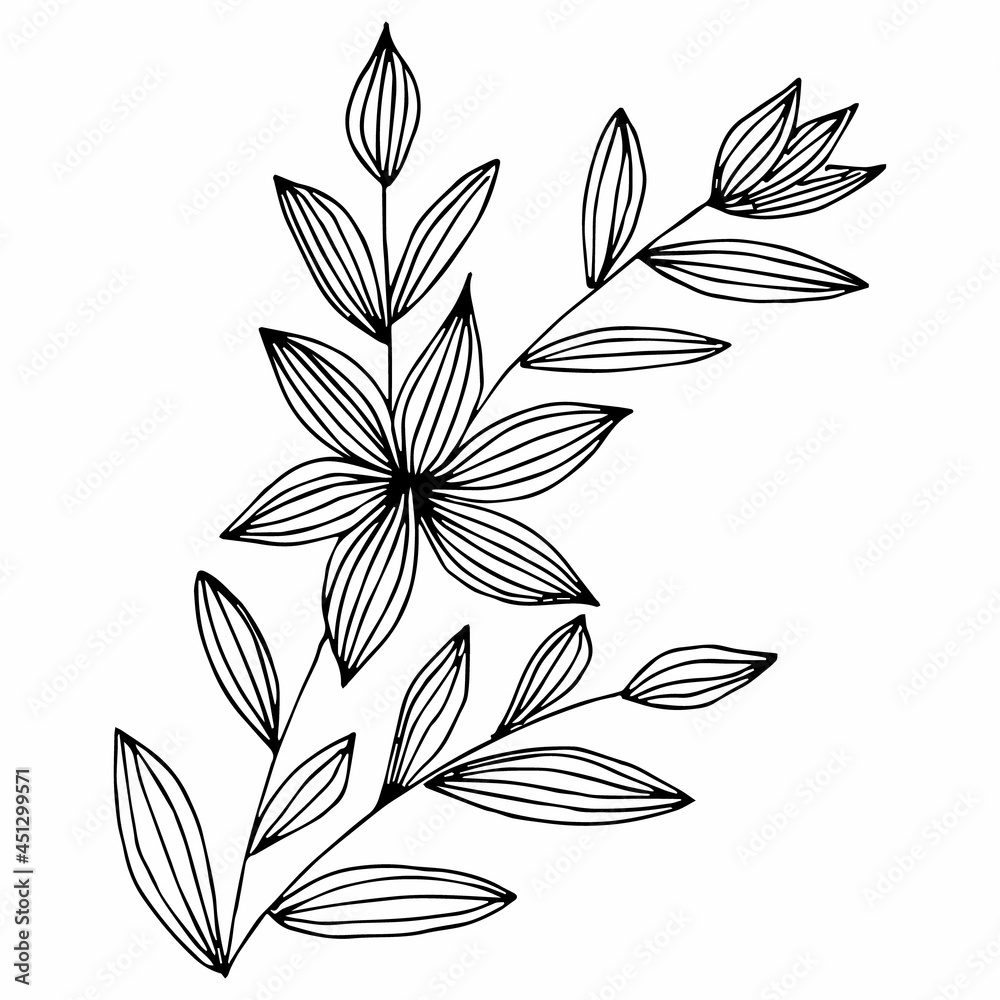 Freehand drawing of black and white flowers and leaves. Vector drawing for a coloring book. Doodle or sketch style.