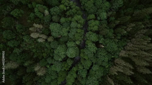 Luftaufnahme von Bäumen im Höllental im Frankenwald, Oberfranken photo