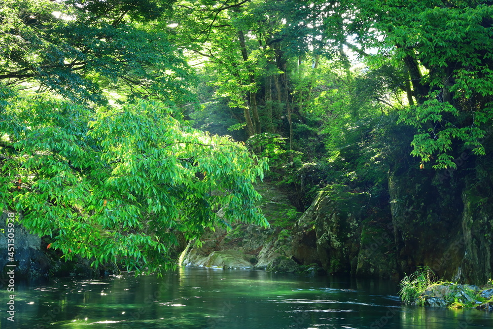 岩手県遠野市 夏の渓流 岩手県遠野市 夏の渓流