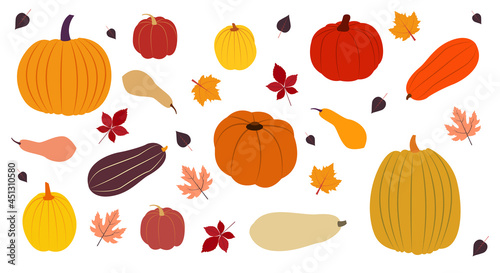 Pumpkin icon set. Vector illustration in flat design
