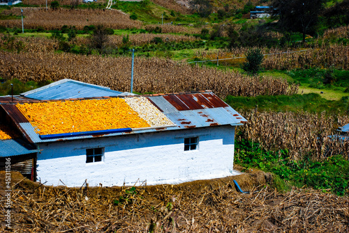 bee hives in the field