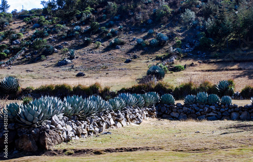 landscape in the mountains