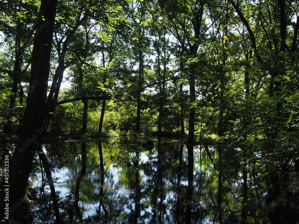 Akagi Nature Park in early autumn