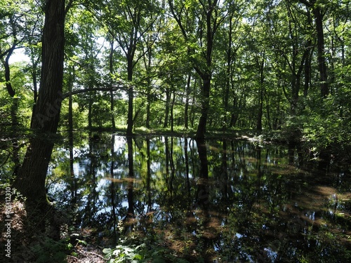 Akagi Nature Park in early autumn