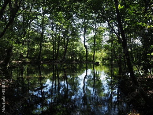 Akagi Nature Park in early autumn