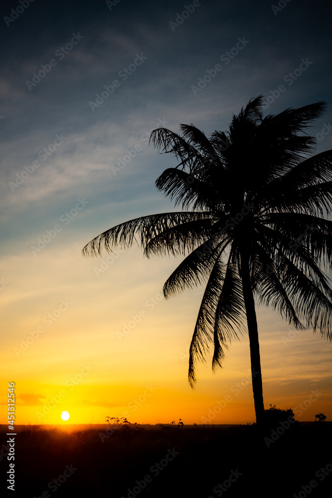 Beautiful sunset with silhouettes of palm trees.