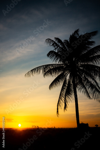 Beautiful sunset with silhouettes of palm trees. © Horacio Selva
