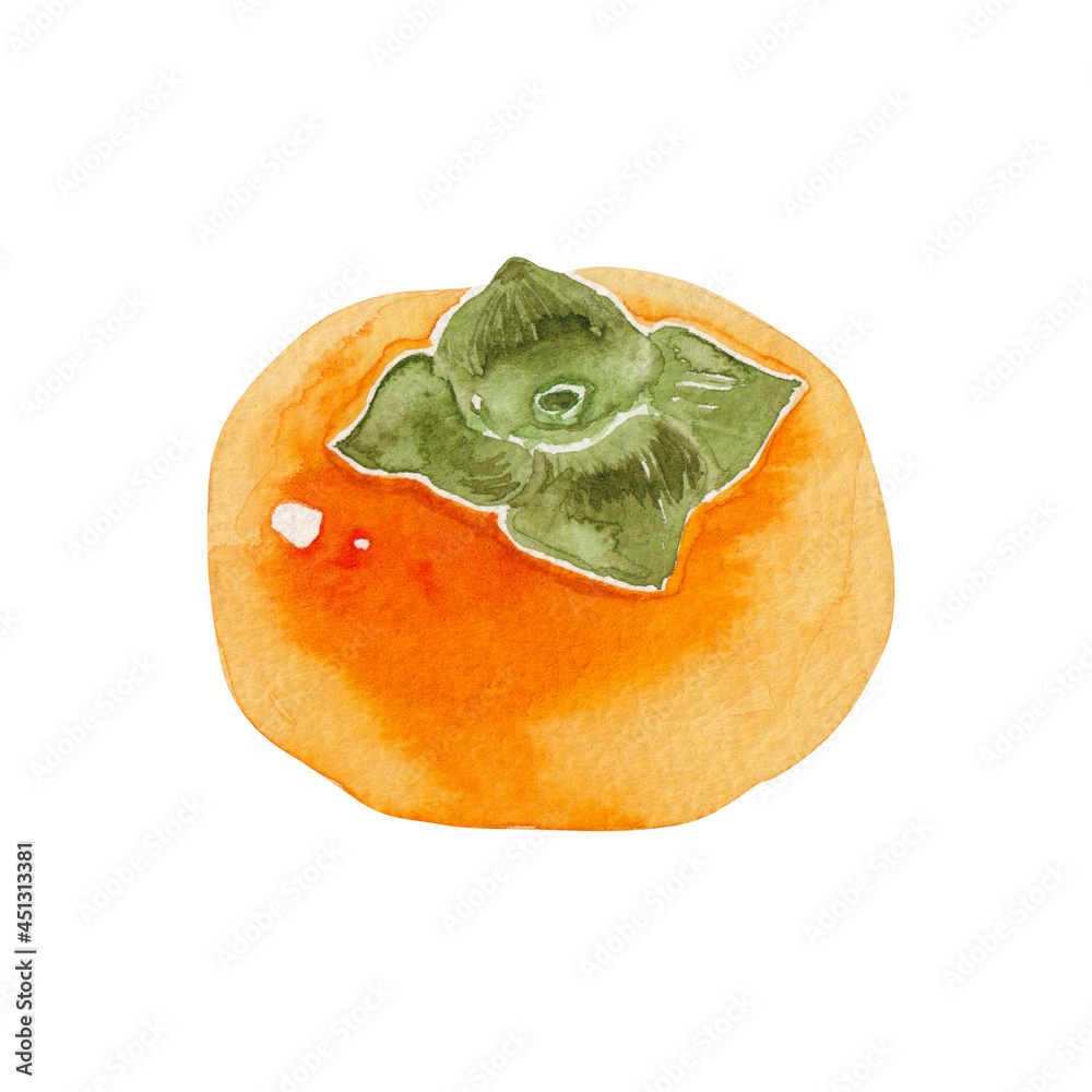 柿 秋 果物 フルーツ 水彩 イラスト Stock Illustration Adobe Stock