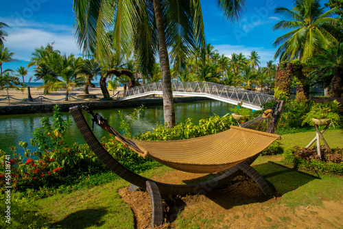 trees on the beach, cradle, daanbantayan cebu photo