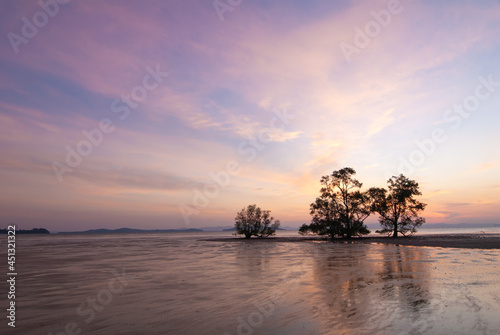 Silhouette of  trees Beautiful sunrise  on the tropical sea beach background for travel in holiday relax time , Phuket , Thailand. © sumit