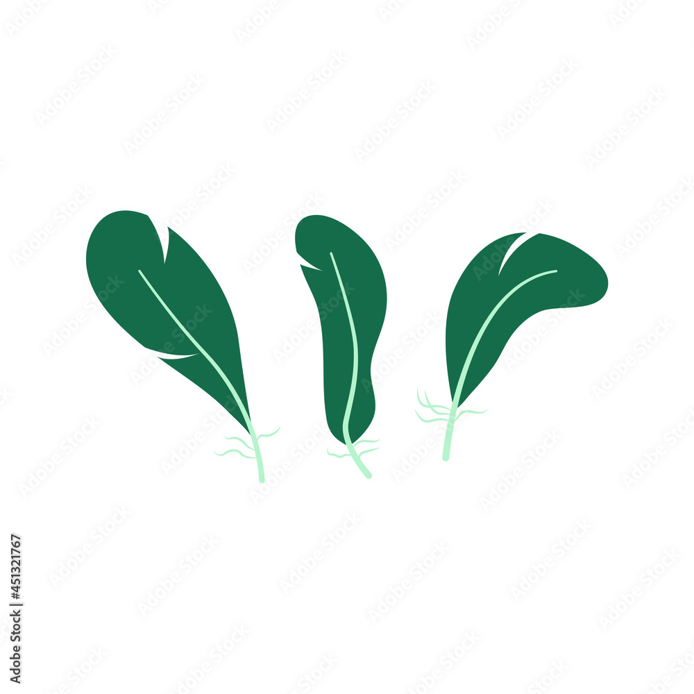 Three bird feathers, green. Vector illustration, flat cartoon color minimal design isolated on white background, eps 10. Three bird feathers, green. Vector illustration, flat cartoon color minimal design isolated on white background, eps 10.