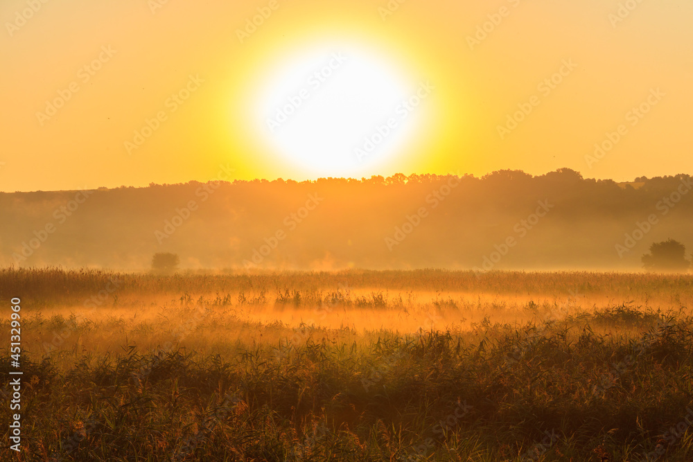 Beautiful sunrise over a foggy meadow