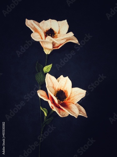 Selective focusing crochet Magnolias with leaves in handmade concept and vintage style