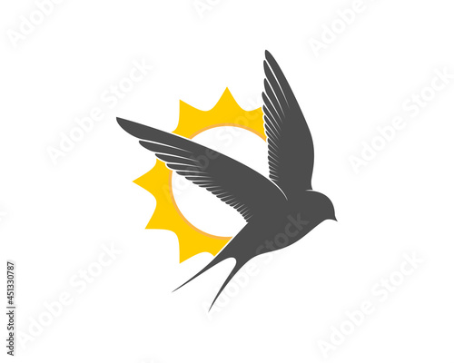 Flying swallow with sunrise behind