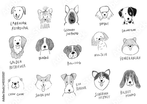 優しい鉛筆の手描きペットイラスト　いろんな犬の品種　白黒　モノトーン