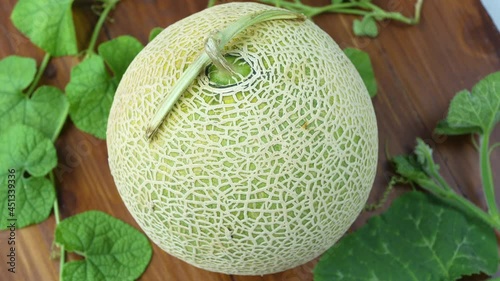 Top view Rotate Sweet Hokkaido melons on wooden table, Fresh Japanese Hokkaido melons very sweet and juicy.