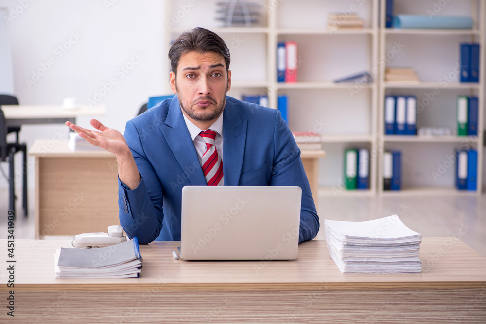 Young attractive employee working in the office Young attractive employee working in the office